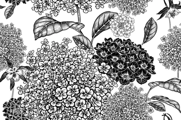 Des Fleurs Jardin Hortensia Motif Floral Sans Couture Noir Blanc — Image vectorielle