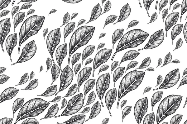 Small Decorative Leaves Black White Background Natural Seamless Pattern Vintage — Stock Vector