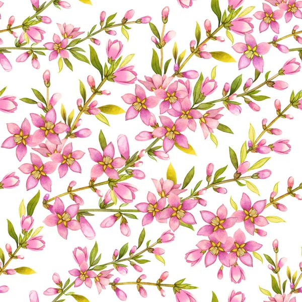 Akwarela Kwiatowy Bezszwowy Wzór Słodkie Wiosenne Kwiaty Kwitnące Gałęzie Drzew — Zdjęcie stockowe