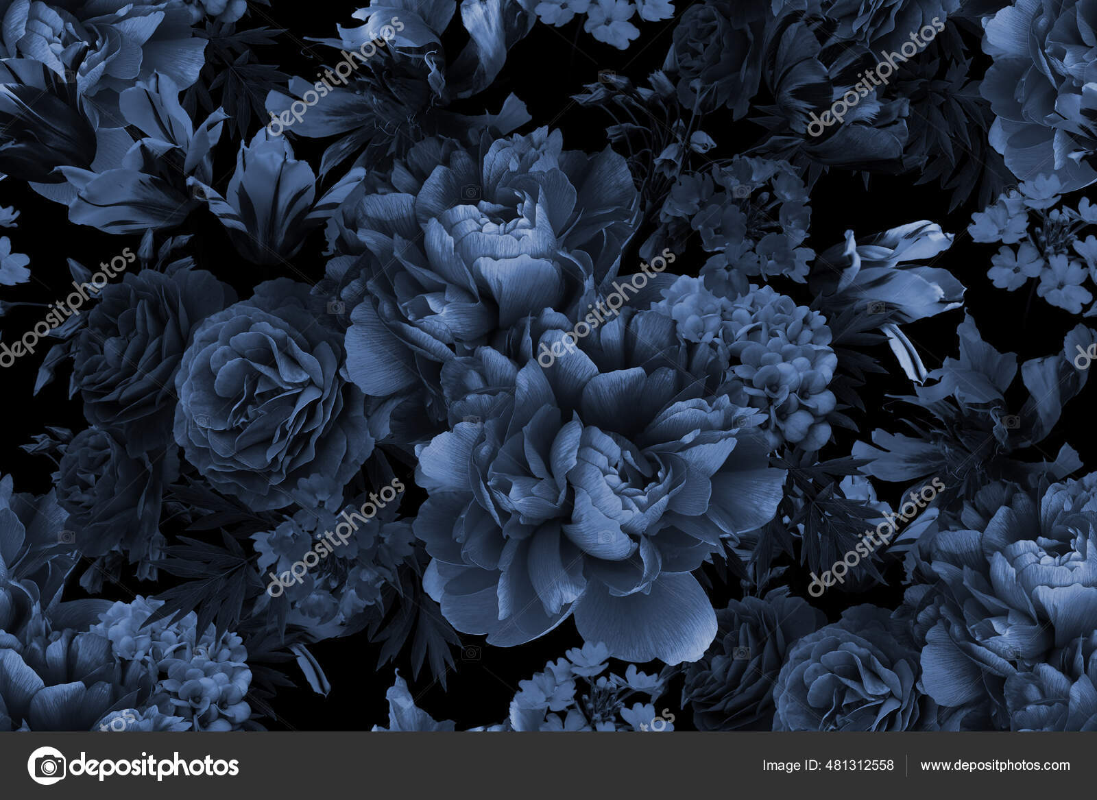 Flores negras fotos de stock, imágenes de Flores negras sin royalties | Depositphotos Flores negras fotos de stock, imágenes de Flores negras sin royalties | Depositphotos