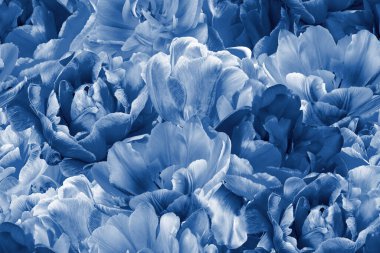 Floral vintage seamless pattern. Garden flowers. Beautiful blooming tulips. Black and white background. Template for decoration packaging, interior design, fabric, textile, paper, wallpaper, wedding.