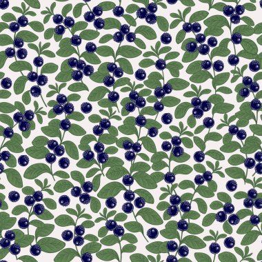 Kusursuz şirin böğürtlen deseni. Beyaz arka planda küçük yaban mersini. Vektör çizimi. Eski model. Paket kağıdı, duvar kağıdı, tekstil şablonu.