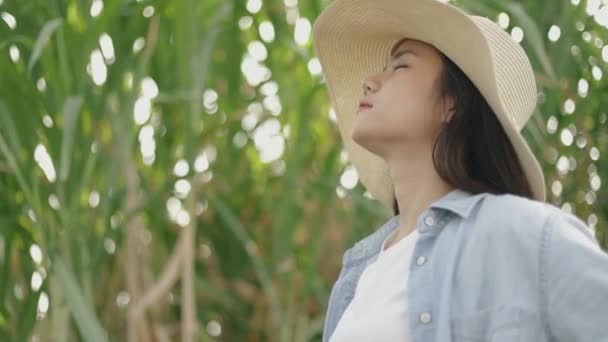 Portretul Aproape Unei Tinere Asiatice Relaxate Bucurându Apusul Liniștit Căutând — Videoclip de stoc