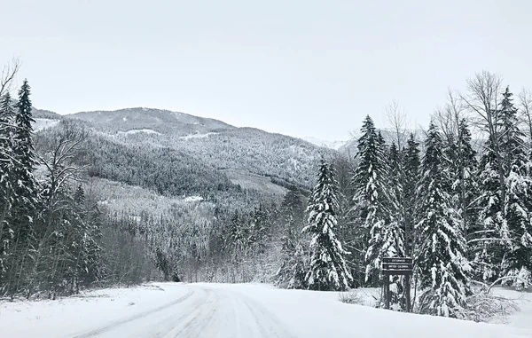 Coniferous snowy forest in the Rocky Mountains. The road between tall spruce trees and mountain peaks in snowy weather. Natural winter background. British Columbia, Canada — Stock Image Coniferous Snowy Forest Rocky Mountains Road Tall Spruce Trees Mountain Stock Image