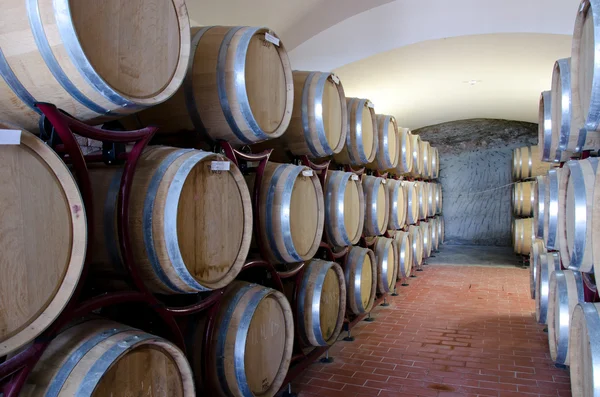 Производство вина — стоковое фото