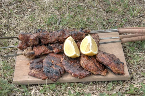 Carne assada no prado verde, pronta para comer — Fotografia de Stock