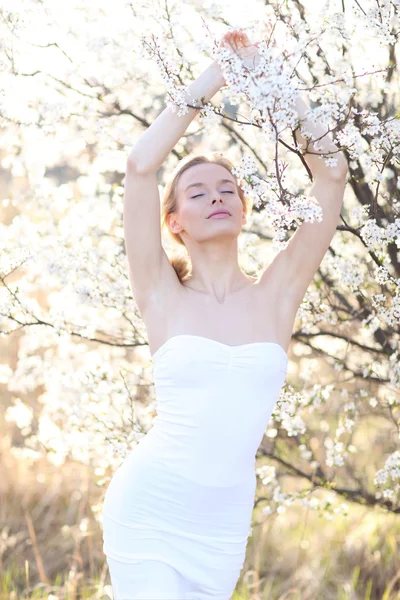 Beleza mulher romântica retrato em árvores florescendo — Fotografia de Stock