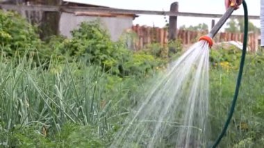 Kızın eli sokakları hortumla suluyor.