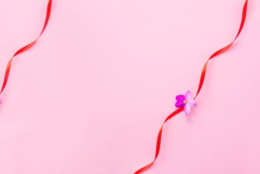 bahar kompozisyonu, pembe arka planda kırmızı kurdeleler, mor çiçekli.