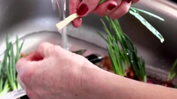Старі жіночі руки миють зелену цибулю в раковині, готуючи цибулю для салату — стокове відео