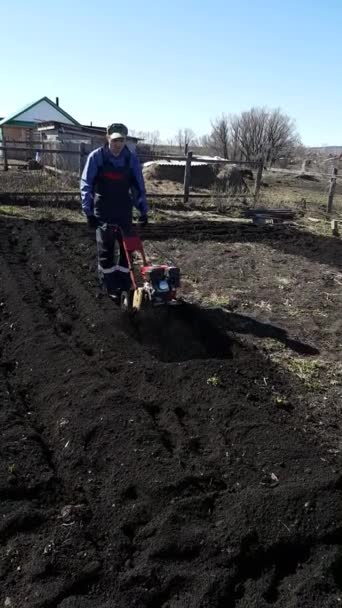 A man with a walk-behind tractor in the garden. Motoblock plows the earth. soil preparation for planting, vertical video — Stock Video