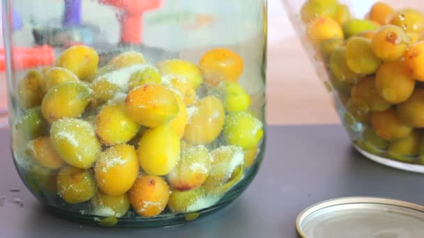 Цукор вливають у скляну банку з жовтими сливами, готують компот для зберігання на зиму — стокове відео