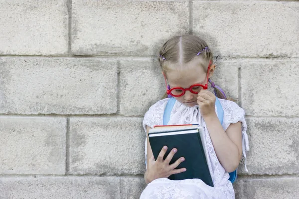 Een meisje met staartjes met blond haar in glazen met boeken in haar handen op een achtergrond van een grijze bakstenen muur staat in gedachten, het concept van het schoolleven, banner — Stockfoto