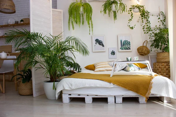 interior in light colors bedroom, mustard-colored blanket, greenery and wicker baskets