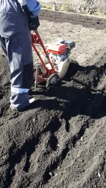 O homem arado o chão com motor cultivador. Trator de trás, bloqueio de motor no jardim. Preparação para plantar.vídeo vertical — Vídeo de Stock