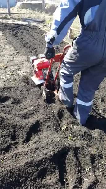 인간은 모터 재배자를 사용하여 땅을 갈고 있다. 트랙터 뒤로 걷고 정원에는 모터 블록. planting.vertical video 에 대한 준비 과정 — 비디오