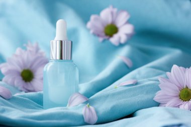 Mavi arka plan, yüz kremi şişesi, pembe çiçekler ve sonsuz gençlik kavramı..