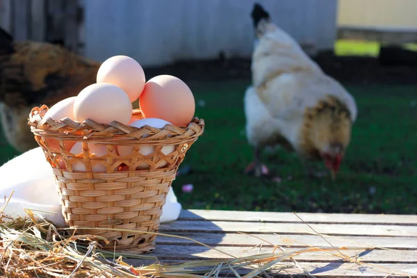 Chicken Eggs Wicker Basket Wooden Background White Napkin Next Chickens — Stock Photo, Image