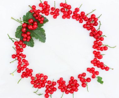 Kırmızı frenk üzümünün yaratıcı çerçevesi beyaz arka planda bir daire şeklinde dizilmiş, metin için boşluk