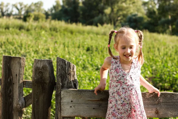 Маленькая девочка с косичками стоит на фоне зеленого поля на заборе из дерева и улыбается, не смотрит в камеру, счастливое детство за городом. — стоковое фото