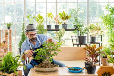 Yakışıklı gözlüklü ve sakallı yaşlı bir adam ağaçlarla ilgilenmekten zevk alır. Hobi olarak ağaçları budamaktan, bahçe işlerinden, mutlu bir emeklilik hayatından hoşlanır..