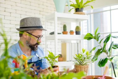 Gözlük takan yaşlı yakışıklı bir adam ağaç bakımı ve dekorasyonla mutlu olur. Bu bir ev işleri hobisi, emekli olduktan sonra mutlu yaşamak..