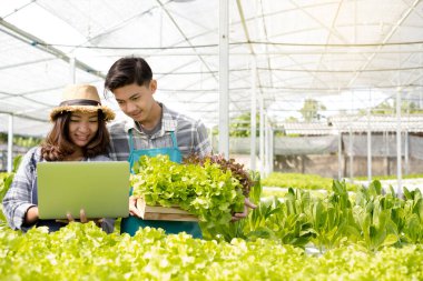 Hidrofonik, iki Asyalı çiftçinin sebze çiftliği var, sıcaklık kontrolünü izlemek için dizüstü bilgisayar kullanıyorlar ve çiftlikteki yaprak büyüme kalitesini kaydediyorlar. Küçük işletme girişimcilik kavramı.