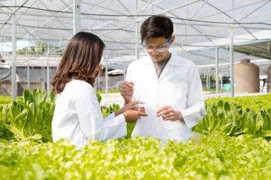 İki Asyalı bilim adamı olan hidrofonik, standartlarını ölçtü ve fidanlıkta hidroponik kullanarak yetiştirilen organik sebzelerin kimyasal verilerini topladı..