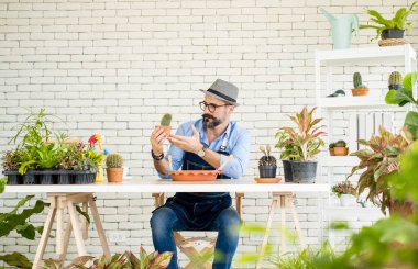 Gözlük takan yaşlı yakışıklı bir adam ağaç bakımı ve dekorasyonla mutlu olur. Bu bir ev işleri hobisi, emekli olduktan sonra mutlu yaşamak..