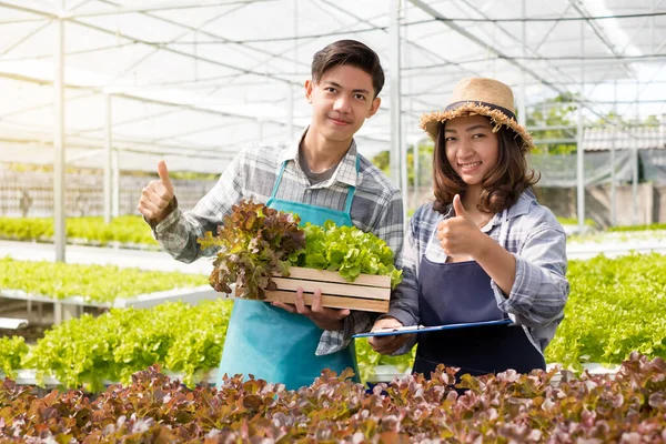 Hydroponics Fazendeiros Asiáticos Novos Examinaram Qualidade Vegetais Orgânicos Crescidos Usando — Fotografia de Stock