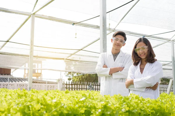 İki Asyalı bilim adamı olan hidrofonik, standartlarını ölçtü ve fidanlıkta hidroponik kullanarak yetiştirilen organik sebzelerin kimyasal verilerini topladı..