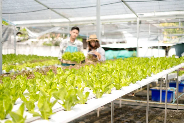 Hydroponics, smiling young Asian couple farmers holding vegetable baskets, standing on a farm, growing organic, commercial organic vegetables. Organic farming business concept.