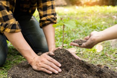 Birbirine yardım eden iki kişinin elleri verimli topraklara taze fidanlar ekiyor, bitkilerin yetişmesini sağlıyor. Dünya çevre günü konsepti, doğayı koruma.