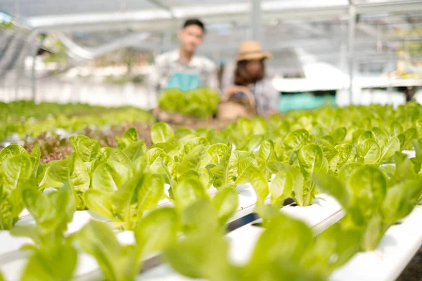 Hydroponics, smiling young Asian couple farmers holding vegetable baskets, standing on a farm, growing organic, commercial organic vegetables. Organic farming business concept.