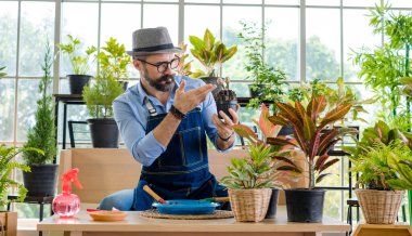 Bıyıklı, yaşlı ve yakışıklı bir adam ağaç bakımıyla mutlu olur. Evde bahçıvanlık hobisi. Emeklilikten sonra mutlu yaşamak. Doğa ve çevre kavramları.
