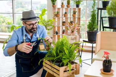 Bıyıklı, yaşlı ve yakışıklı bir adam ağaç bakımıyla mutlu olur. Evde bahçıvanlık hobisi. Emeklilikten sonra mutlu yaşamak. Doğa ve çevre kavramları.