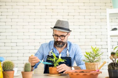 Bıyıklı, yaşlı ve yakışıklı bir adam ağaç bakımıyla mutlu olur. Evde bahçıvanlık hobisi. Emeklilikten sonra mutlu yaşamak. Doğa ve çevre kavramları.