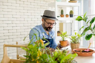 Bıyıklı, yaşlı ve yakışıklı bir adam ağaç bakımıyla mutlu olur. Evde bahçıvanlık hobisi. Emeklilikten sonra mutlu yaşamak. Doğa ve çevre kavramları.