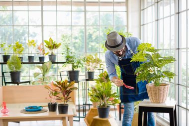 Bıyıklı, yaşlı ve yakışıklı bir adam ağaç bakımıyla mutlu olur. Evde bahçıvanlık hobisi. Emeklilikten sonra mutlu yaşamak. Doğa ve çevre kavramları.