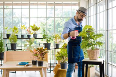Bıyıklı, yaşlı ve yakışıklı bir adam ağaç bakımıyla mutlu olur. Evde bahçıvanlık hobisi. Emeklilikten sonra mutlu yaşamak. Doğa ve çevre kavramları.