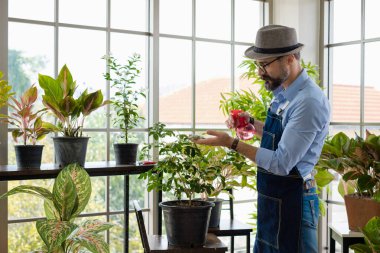 Bıyıklı, yaşlı ve yakışıklı bir adam ağaç bakımıyla mutlu olur. Evde bahçıvanlık hobisi. Emeklilikten sonra mutlu yaşamak. Doğa ve çevre kavramları.