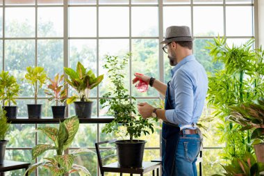 Bıyıklı, yaşlı ve yakışıklı bir adam ağaç bakımıyla mutlu olur. Evde bahçıvanlık hobisi. Emeklilikten sonra mutlu yaşamak. Doğa ve çevre kavramları.