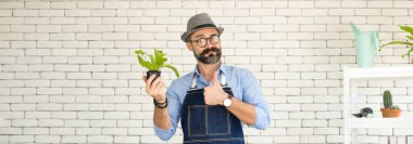 Bıyıklı, yaşlı ve yakışıklı bir adam ağaç bakımıyla mutlu olur. Evde bahçıvanlık hobisi. Emeklilikten sonra mutlu yaşamak. Doğa ve çevre kavramları.