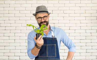 Bıyıklı, yaşlı ve yakışıklı bir adam ağaç bakımıyla mutlu olur. Evde bahçıvanlık hobisi. Emeklilikten sonra mutlu yaşamak. Doğa ve çevre kavramları.