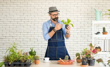 Bıyıklı, yaşlı ve yakışıklı bir adam ağaç bakımıyla mutlu olur. Evde bahçıvanlık hobisi. Emeklilikten sonra mutlu yaşamak. Doğa ve çevre kavramları.