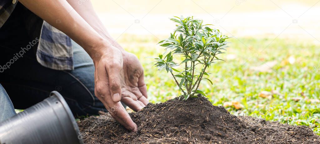 The young man's hands are planting young seedlings on fertile ground, taking care of growing plants. World environment day concept, protecting nature.