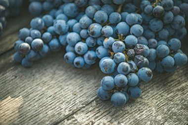 Bağdaki ahşap şarap fıçısında üzüm, Macaristan