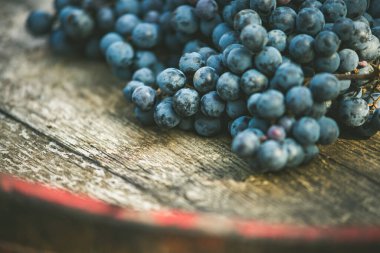 Bağdaki ahşap şarap fıçısında üzüm, Macaristan