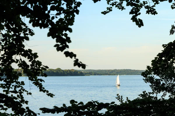 Barca a vela in acqua con alberi in primo piano — Foto Stock