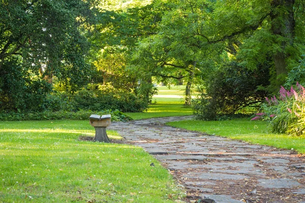 Скамейка в зеленом парке с изогнутой дорожкой и деревьями — стоковое фото